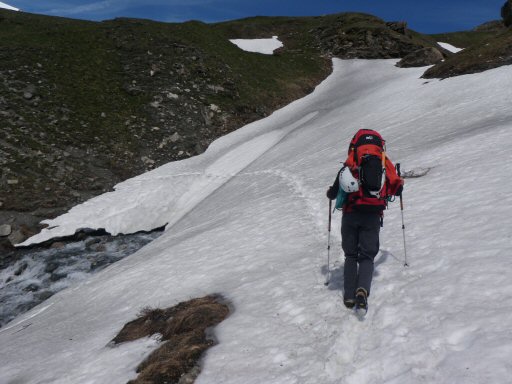 Estelette (4).JPG - Il reste encore des n�v�s